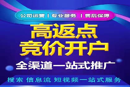 百度竞价代理实战技巧：经典案例深度解读